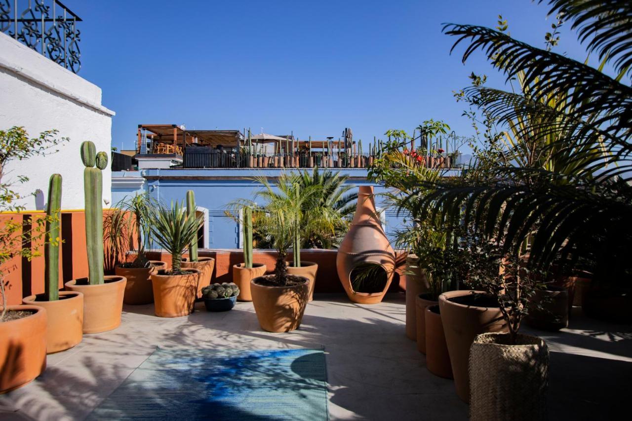 Hotel Los Amantes Oaxaca Eksteriør billede