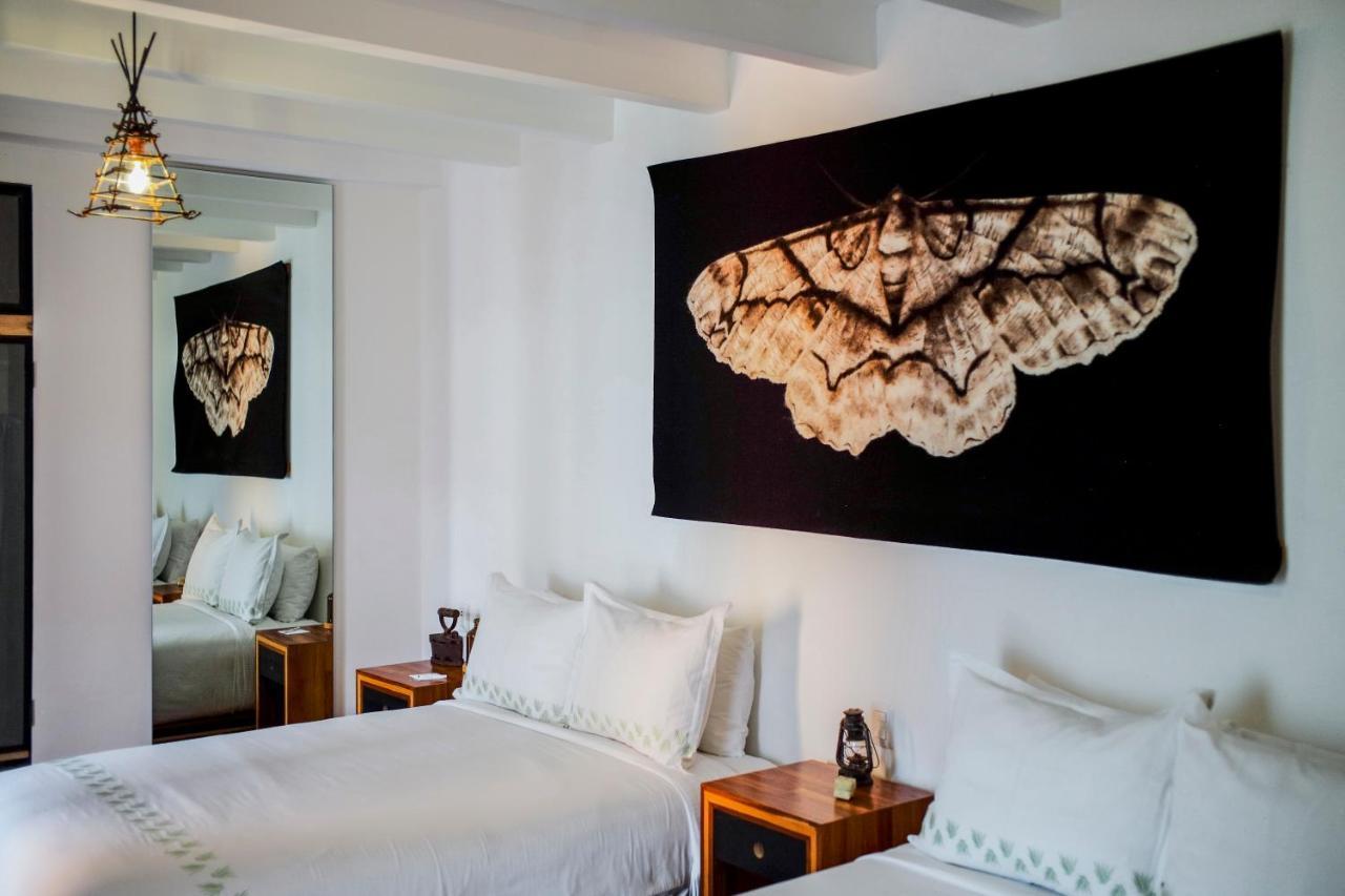 Hotel Los Amantes Oaxaca Eksteriør billede